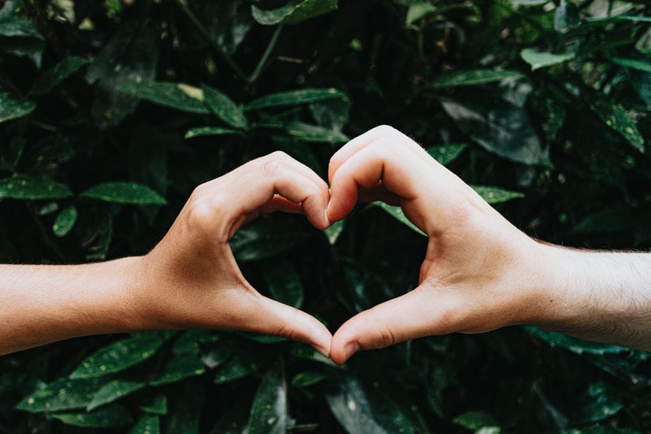 Two hands making a heart shape against a leafy green background in soethical image