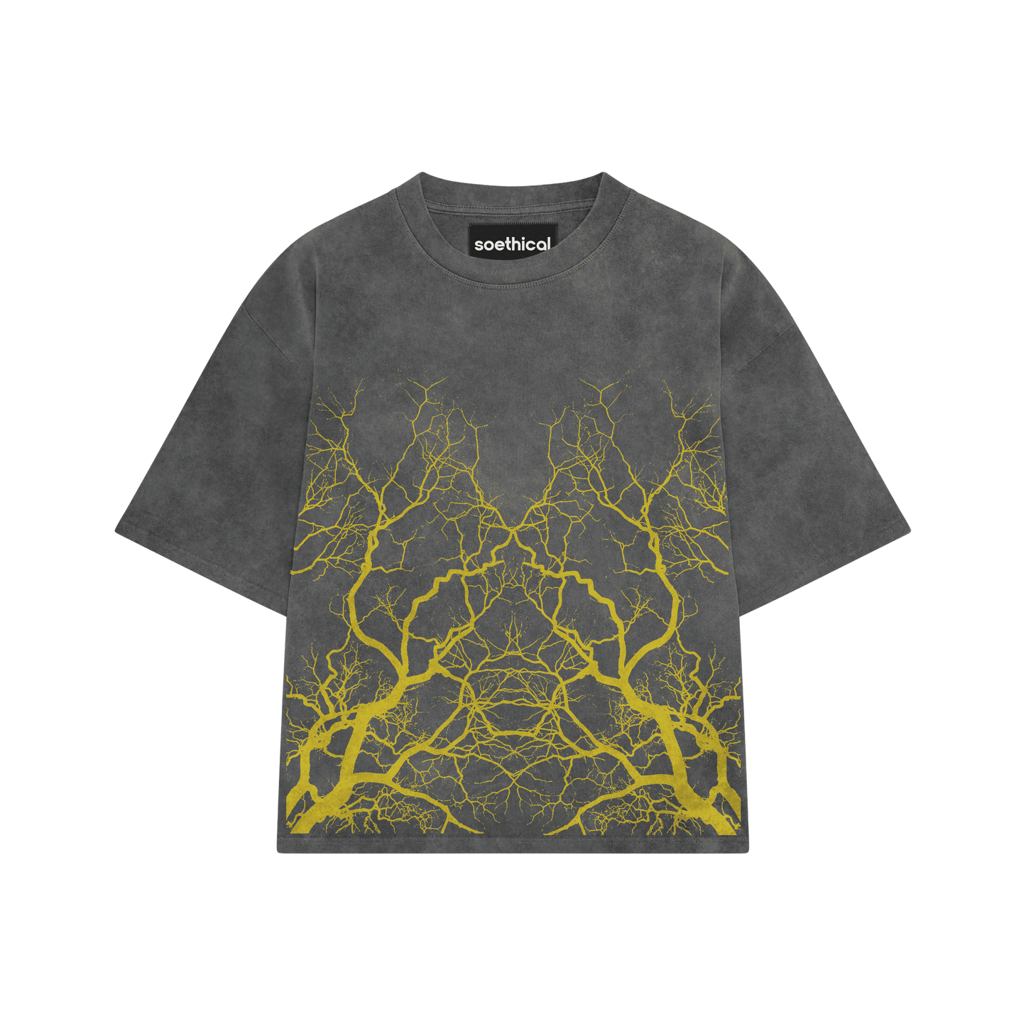 Soethical Roots Of Power Oversized  T-shirt